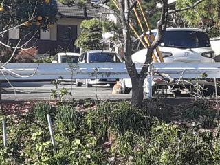 摜(320x240)Eg摜(640x480)