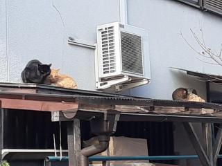 画像(320x240)・拡大画像(640x480)