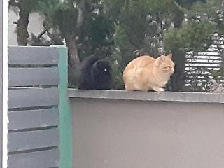 画像(320x240)・拡大画像(640x480)