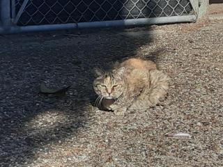 �摜(320x240)�E�g��摜(640x480)