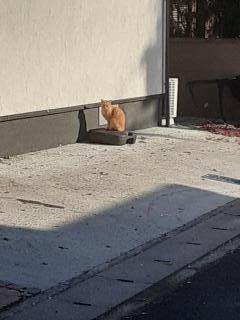 画像(240x320)・拡大画像(480x640)