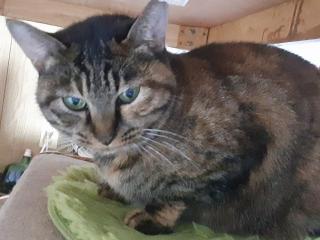 画像(320x240)・拡大画像(640x480)