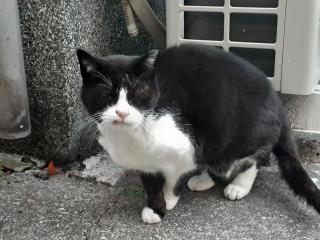 �摜(320x240)�E�g��摜(640x480)