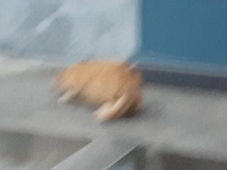 画像(320x240)・拡大画像(640x480)