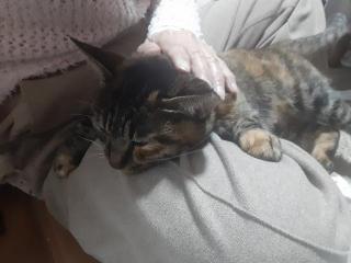 画像(320x240)・拡大画像(640x480)