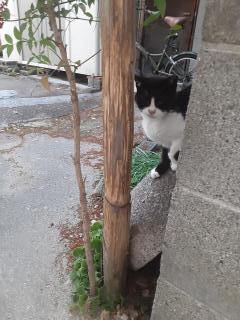 �摜(240x320)�E�g��摜(480x640)