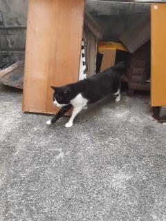 �摜(240x320)�E�g��摜(480x640)