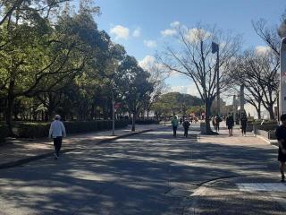 �摜(320x240)�E�g��摜(640x480)