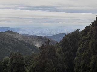 �摜(320x240)�E�g��摜(640x480)