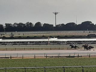 �摜(320x240)�E�g��摜(640x480)