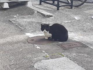 �摜(320x240)�E�g��摜(640x480)