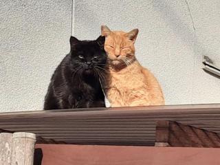 �摜(320x240)�E�g��摜(640x480)