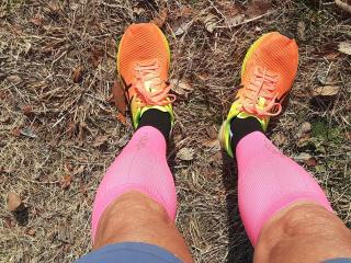 �摜(320x240)�E�g��摜(640x480)