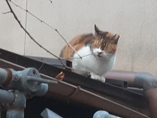 �摜(320x240)�E�g��摜(640x480)