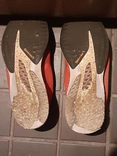 �摜(240x320)�E�g��摜(480x640)