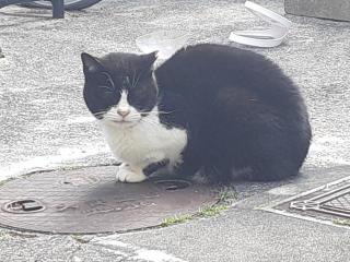 �摜(320x240)�E�g��摜(640x480)