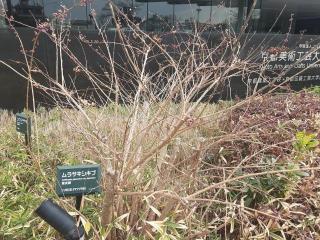 �摜(320x240)�E�g��摜(640x480)