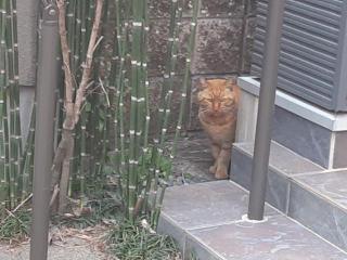 �摜(320x240)�E�g��摜(640x480)