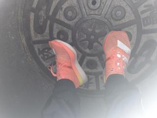 画像(320x240)・拡大画像(640x480)