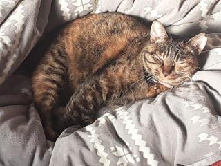 �摜(320x240)�E�g��摜(640x480)