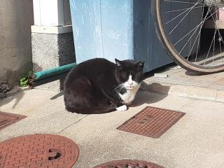 �摜(320x240)�E�g��摜(640x480)