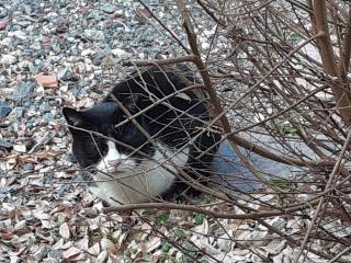 画像(320x240)・拡大画像(640x480)