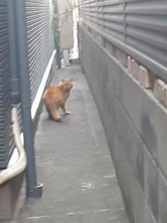 �摜(240x320)�E�g��摜(480x640)