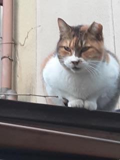 �摜(240x320)�E�g��摜(480x640)