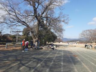 �摜(320x240)�E�g��摜(640x480)