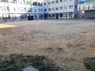 画像(320x240)・拡大画像(640x480)