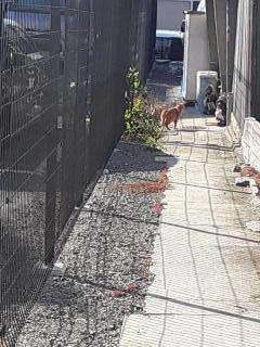 �摜(240x320)�E�g��摜(480x640)