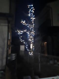 画像(240x320)・拡大画像(480x640)