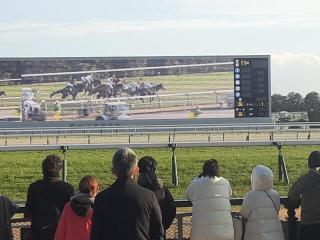 �摜(320x240)�E�g��摜(640x480)