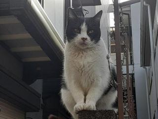 �摜(320x240)�E�g��摜(640x480)