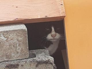 �摜(320x240)�E�g��摜(640x480)