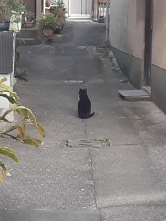 �摜(240x320)�E�g��摜(480x640)