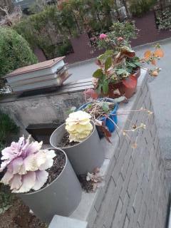 画像(240x320)・拡大画像(480x640)