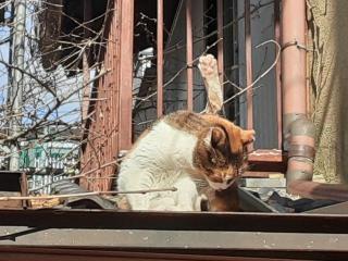 �摜(320x240)�E�g��摜(640x480)