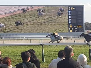 �摜(320x240)�E�g��摜(640x480)