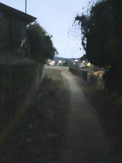 画像(240x320)・拡大画像(480x640)