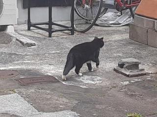 �摜(320x240)�E�g��摜(640x480)