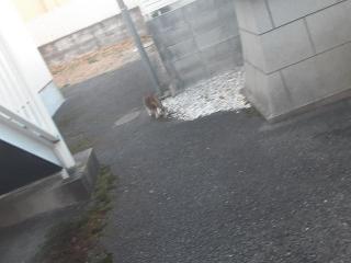 画像(320x240)・拡大画像(640x480)