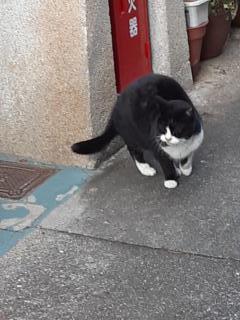 �摜(240x320)�E�g��摜(480x640)