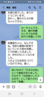 画像(147x320)・拡大画像(295x640)