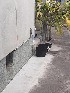 �摜(240x320)�E�g��摜(480x640)