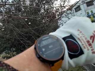 �摜(320x240)�E�g��摜(640x480)