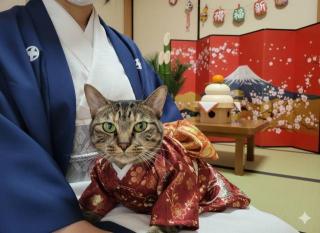 �摜(320x233)�E�g��摜(640x467)