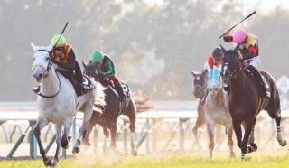 �摜(320x186)�E�g��摜(640x372)