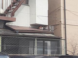 �摜(320x240)�E�g��摜(640x480)