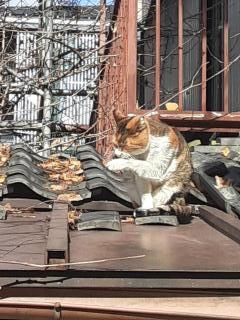 �摜(240x320)�E�g��摜(480x640)